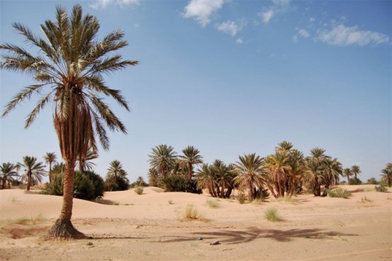 MAROKO - MARRAKÉŠ, FES, ATLAS A SAHARA