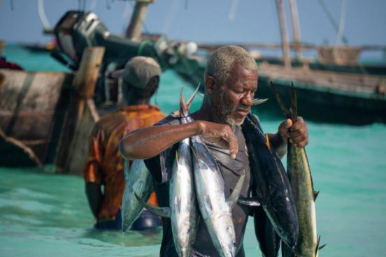 Safari v Tanzanii a exotický Zanzibar