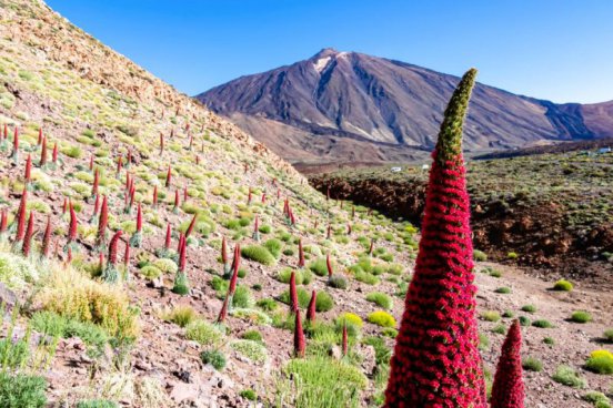 Okouzlující Kanárské ostrovy - Poznejte Lanzarote, Fuerteventuru a Tenerife zblízka