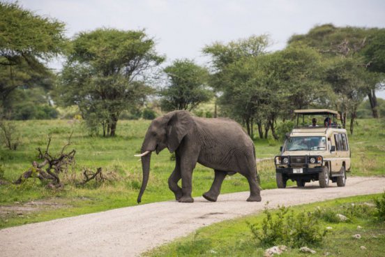 Safari v Tanzanii a exotický Zanzibar