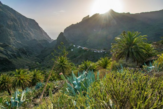 TENERIFE - týden s turistikou a mořem