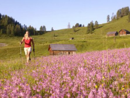 NORDIC WALKING V PODHŮŘÍ DACHSTEINU