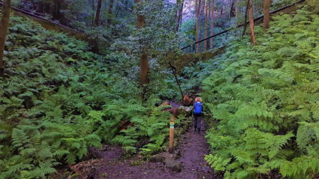 Pěší turistika na ostrově La Palma