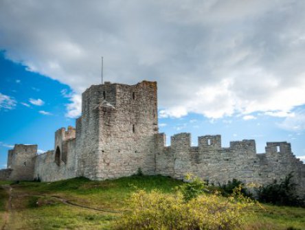 VIKINGSKÝ OSTROV GOTLAND 