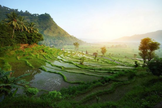 Krásy a kultura ostrova Bali