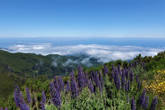 MADEIRA – OSTROVNÍ RÁJ S TURISTIKOU