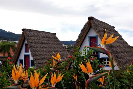 LETNÍ RELAX NA MADEIŘE s turistikou a koupáním